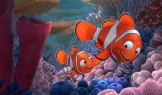 İtkin Nemo
